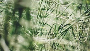 Si të bëni një amuletë fati me duart tuaja