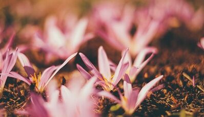 si të bëni një amuletë fati me duart tuaja